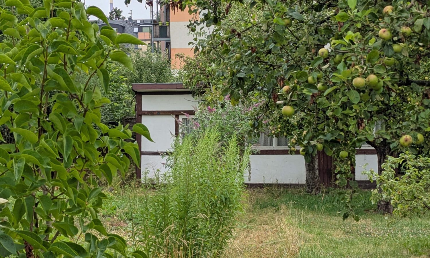 GN 64